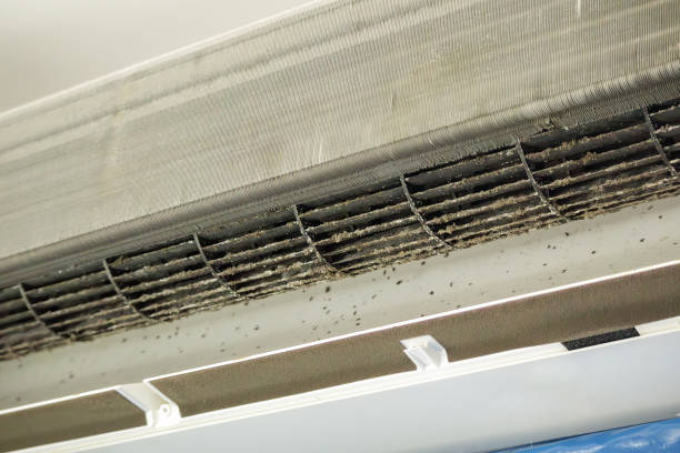 Best Air Vent Cleaning Services  in Carterville, MO